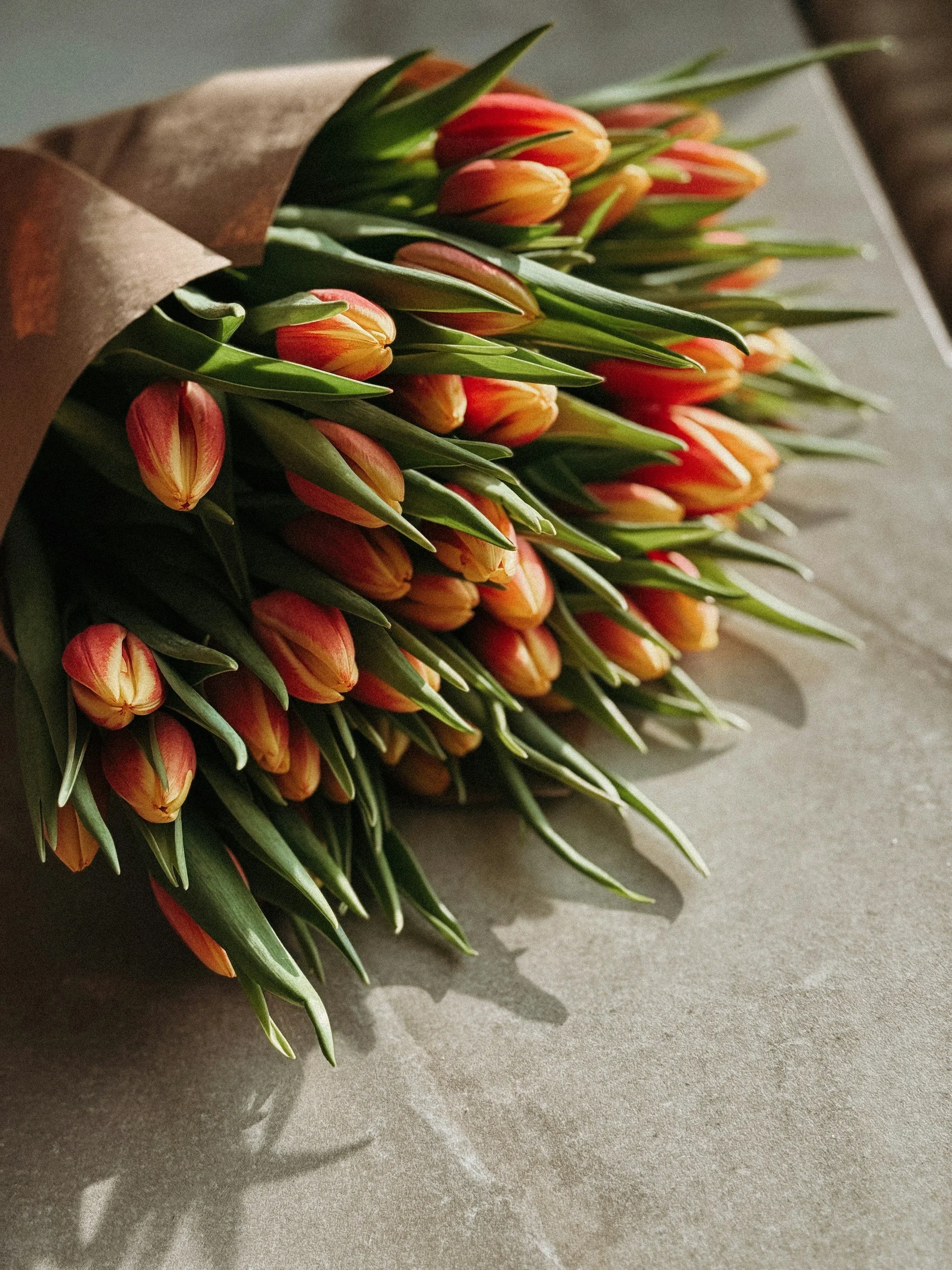 Books: A Treasure Chest for Thoughts