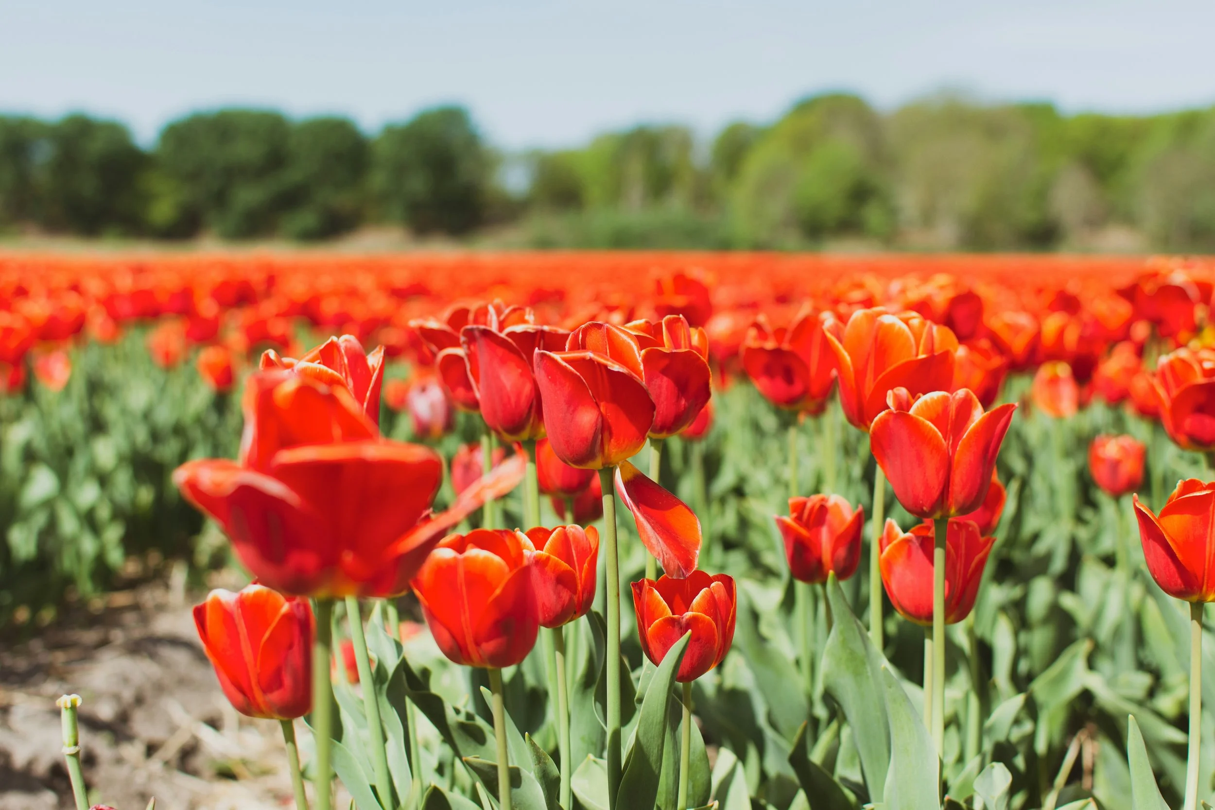 Thank God it’s Friday