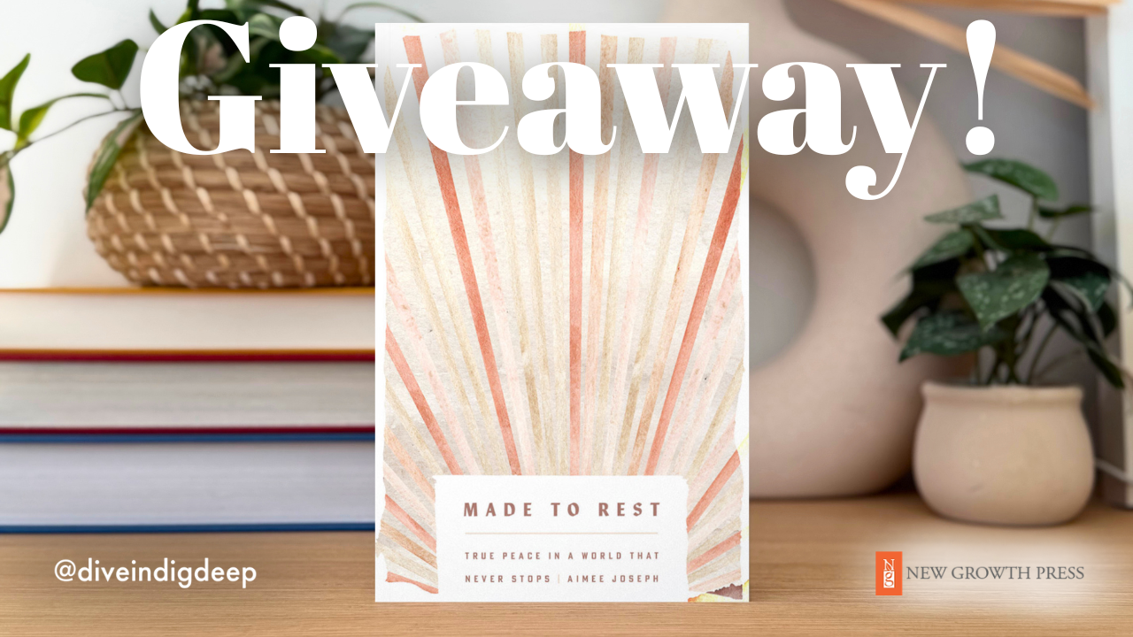 Giveaway!&nbsp;Made to Rest&nbsp;by Aimee Joseph