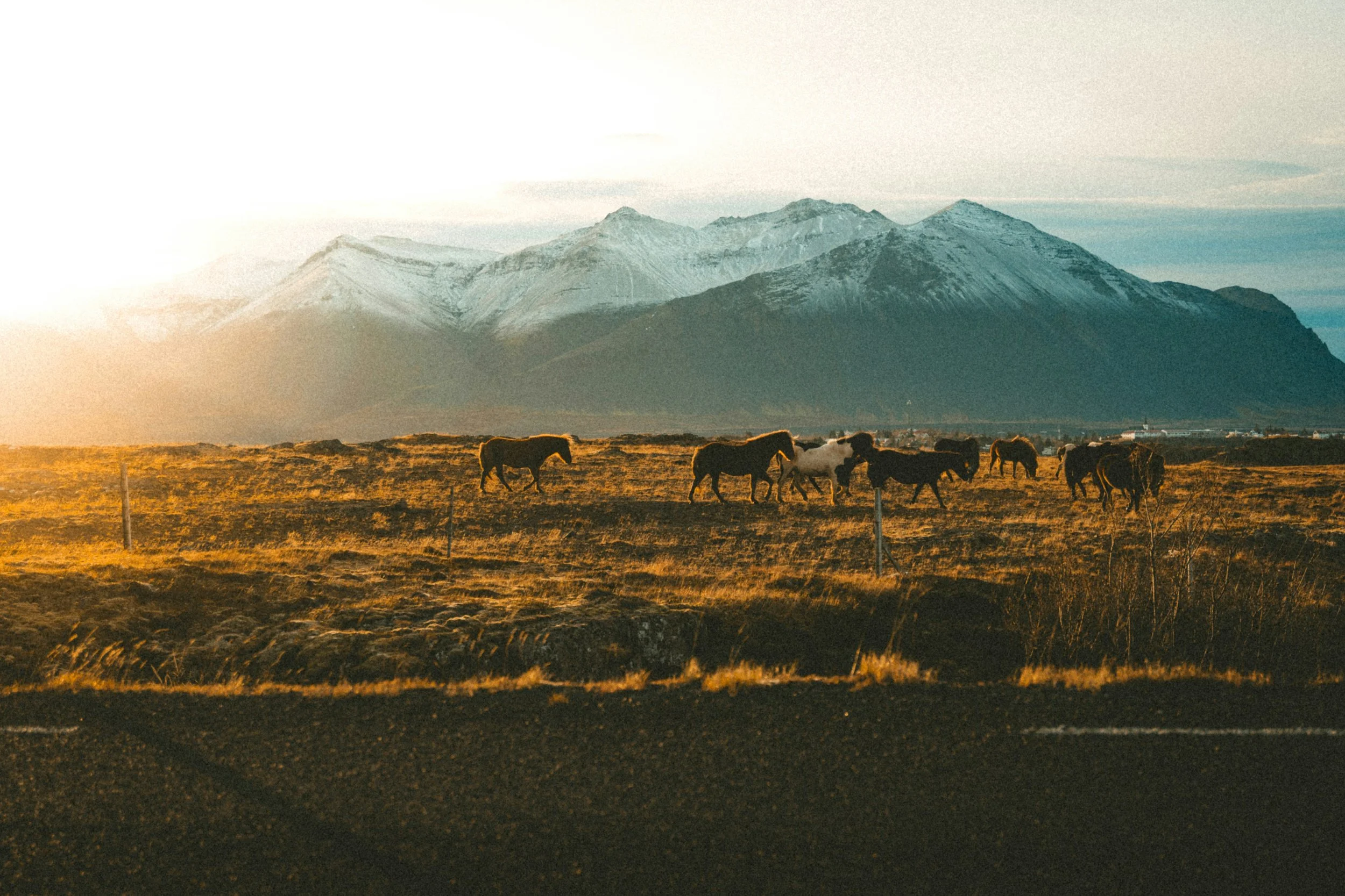 Evangelism, Election, and the Sovereignty of God