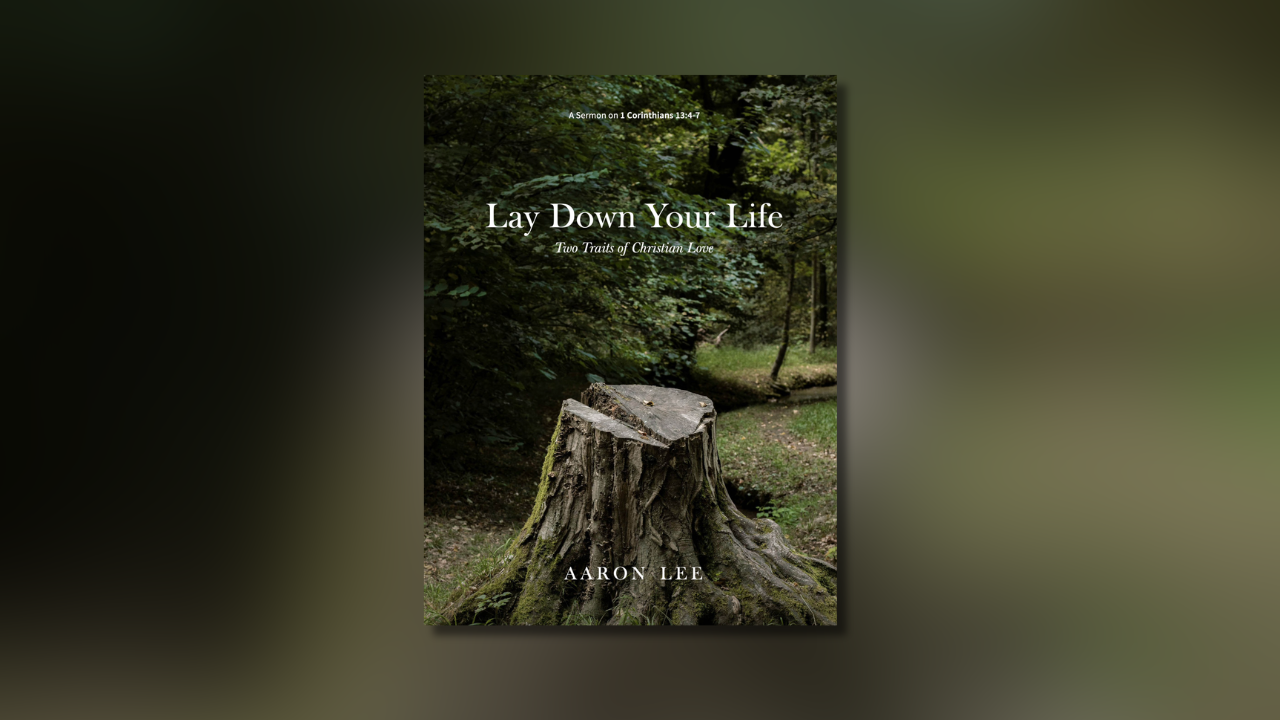 Lay Down Your Life