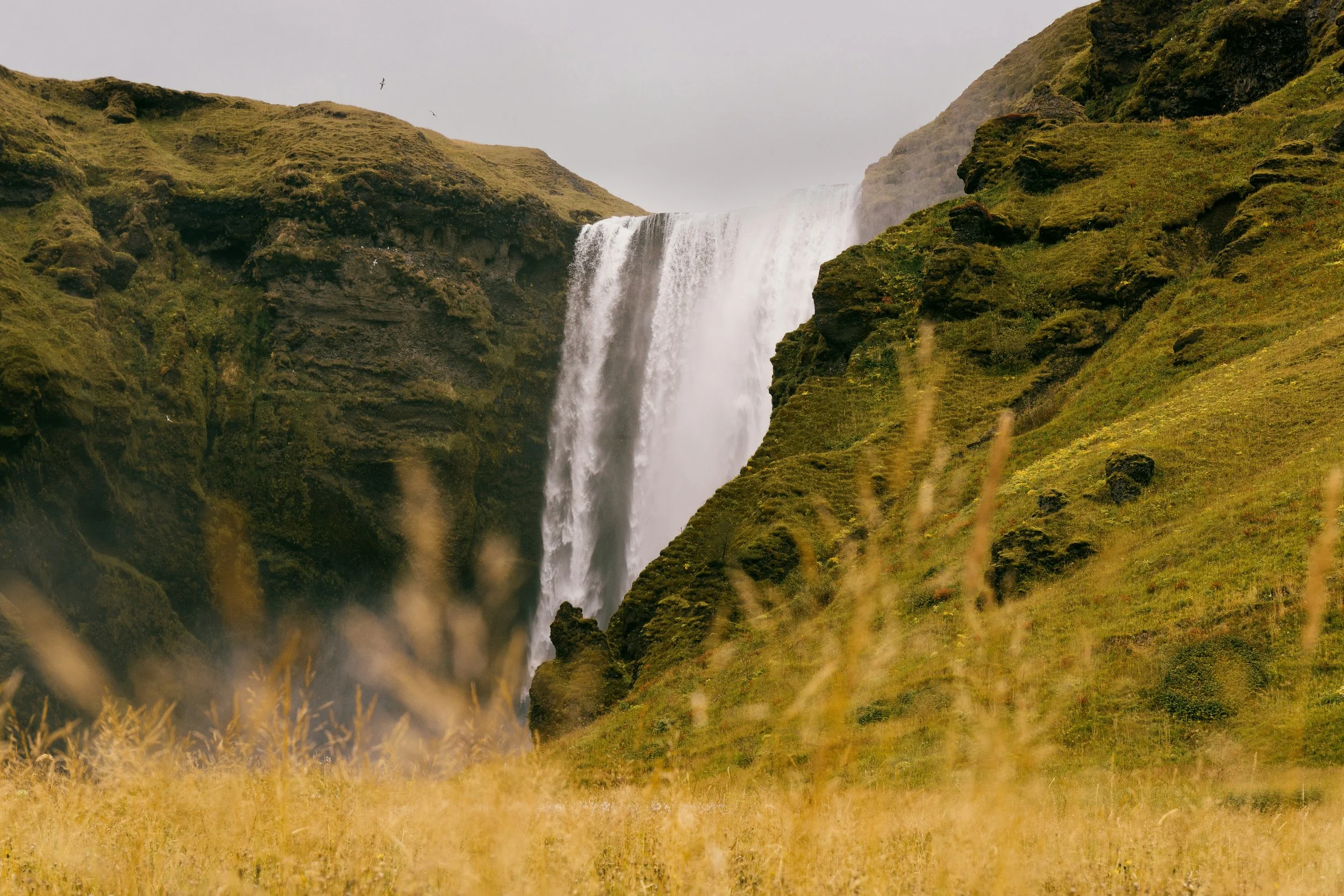 Thank God it’s Friday