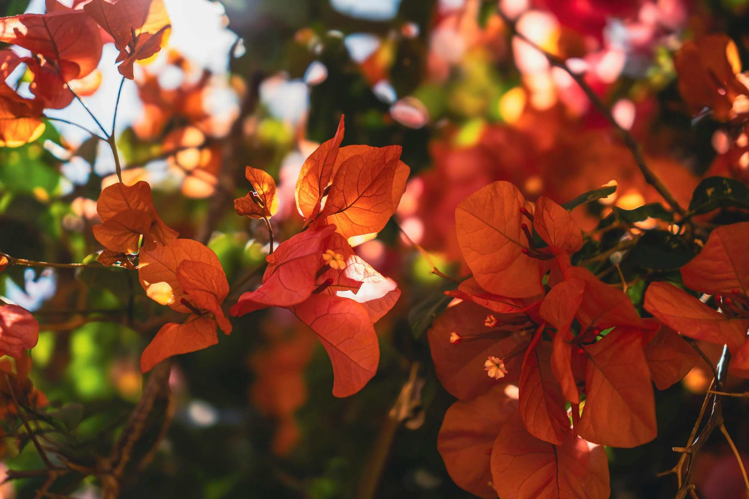 Thank God it’s Friday