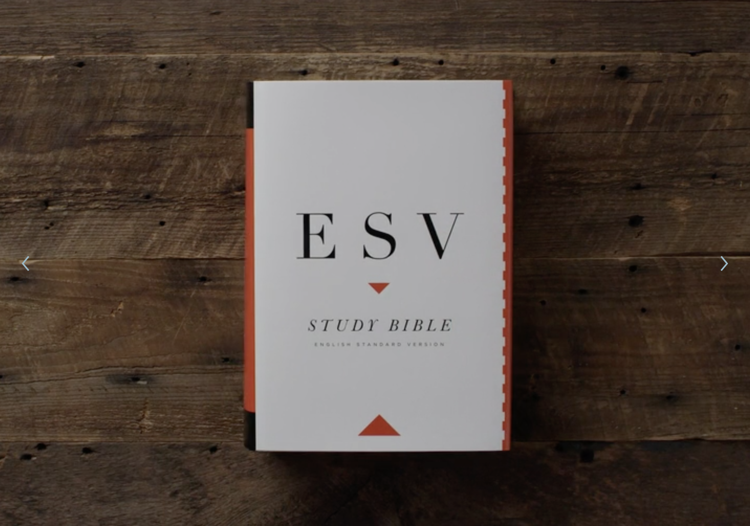 Best Study Bibles