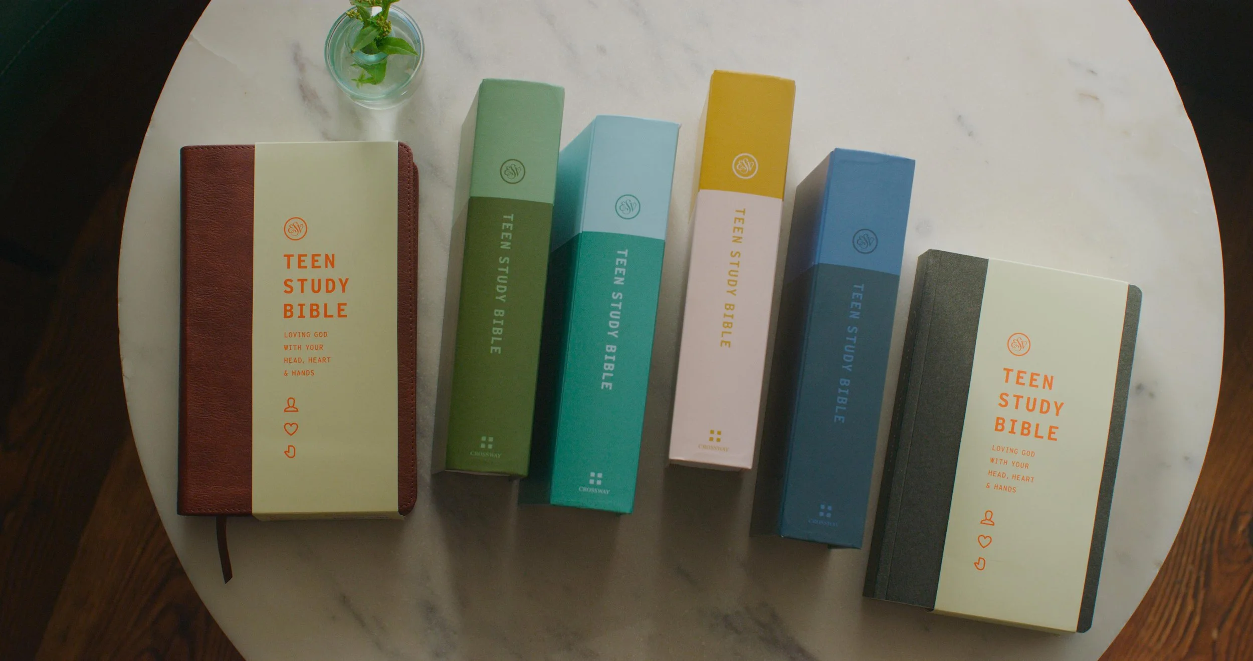 WTS Partner Offer: ESV Teen Study Bible