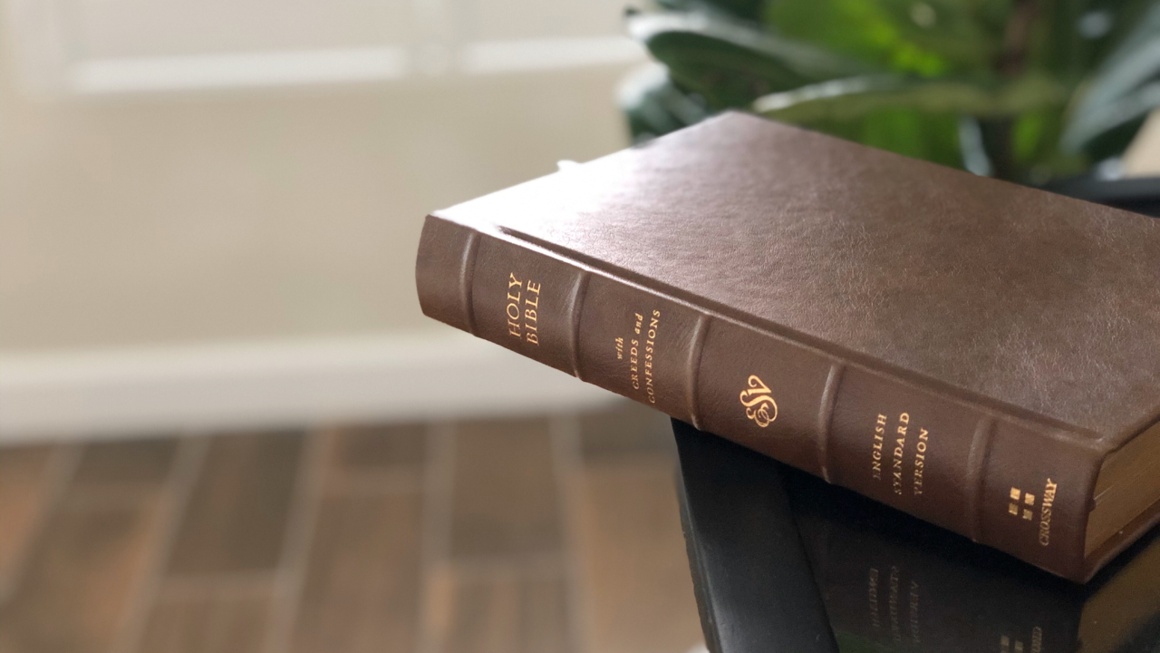 ESV Bible with Creeds and Confessions