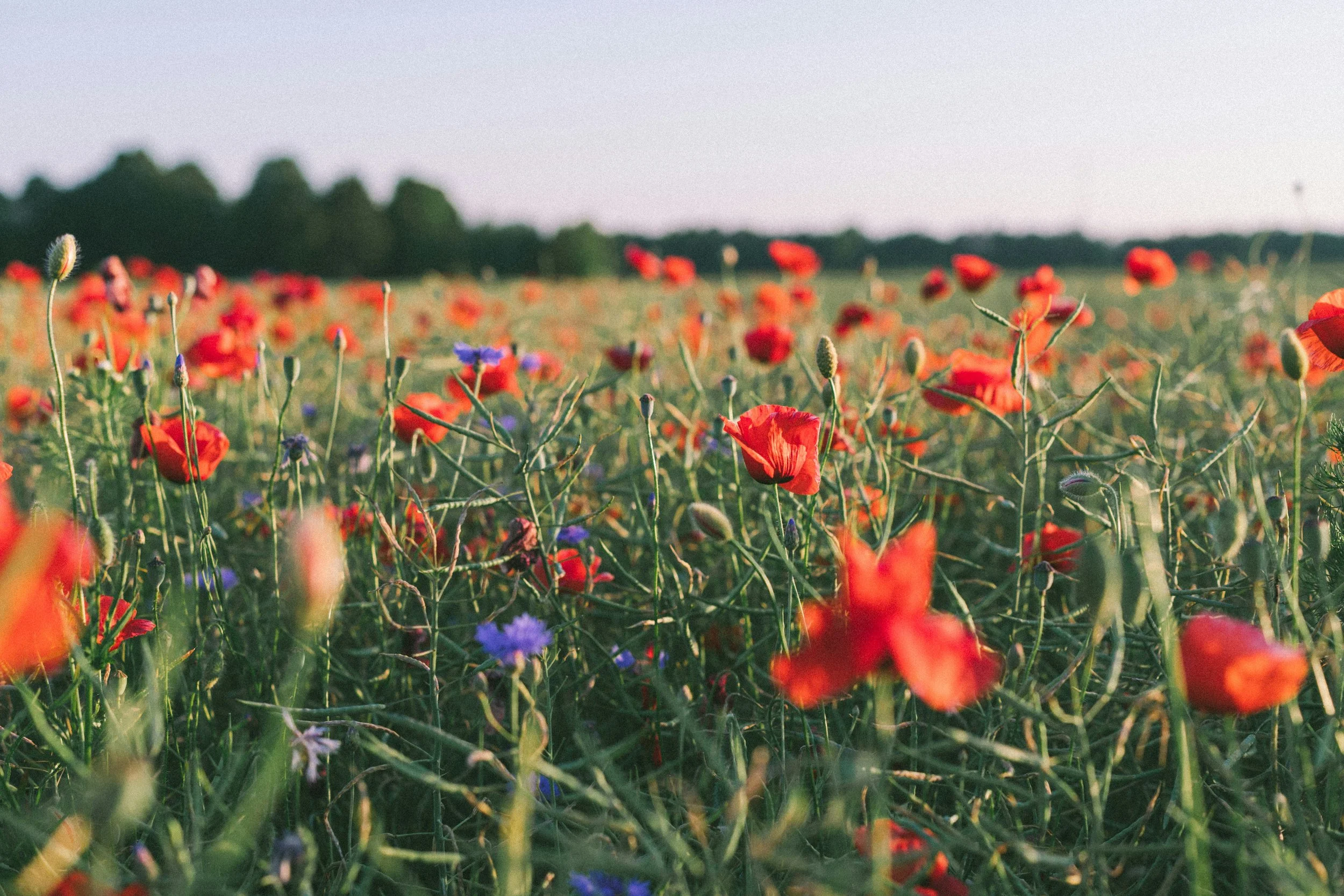 Thank God it’s Friday