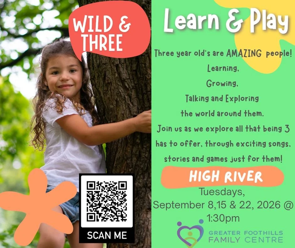 Learn & Play- Wild & 3