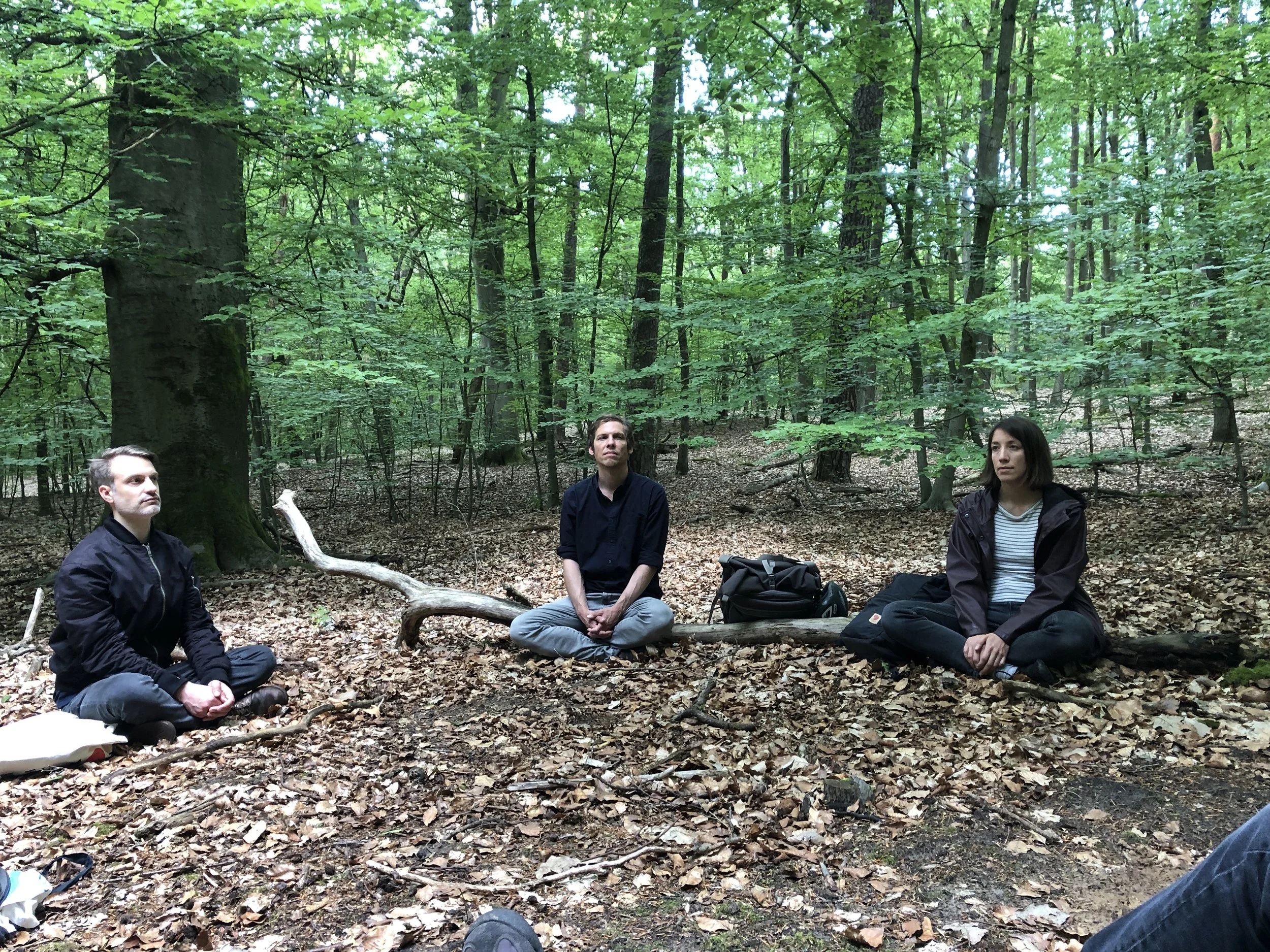 Naturcoaching Berlin_Achtsam.jpg