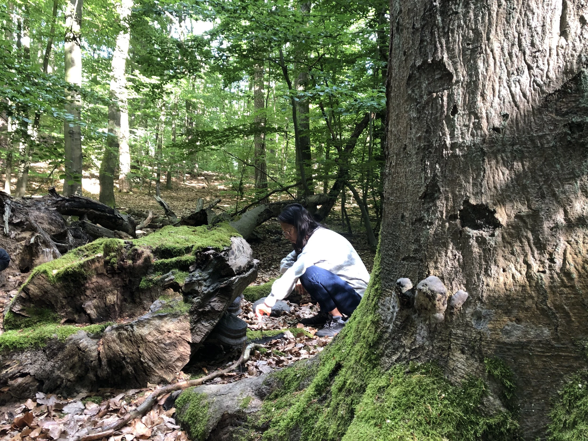 Naturcoaching Berlin Hermsdorf.jpg