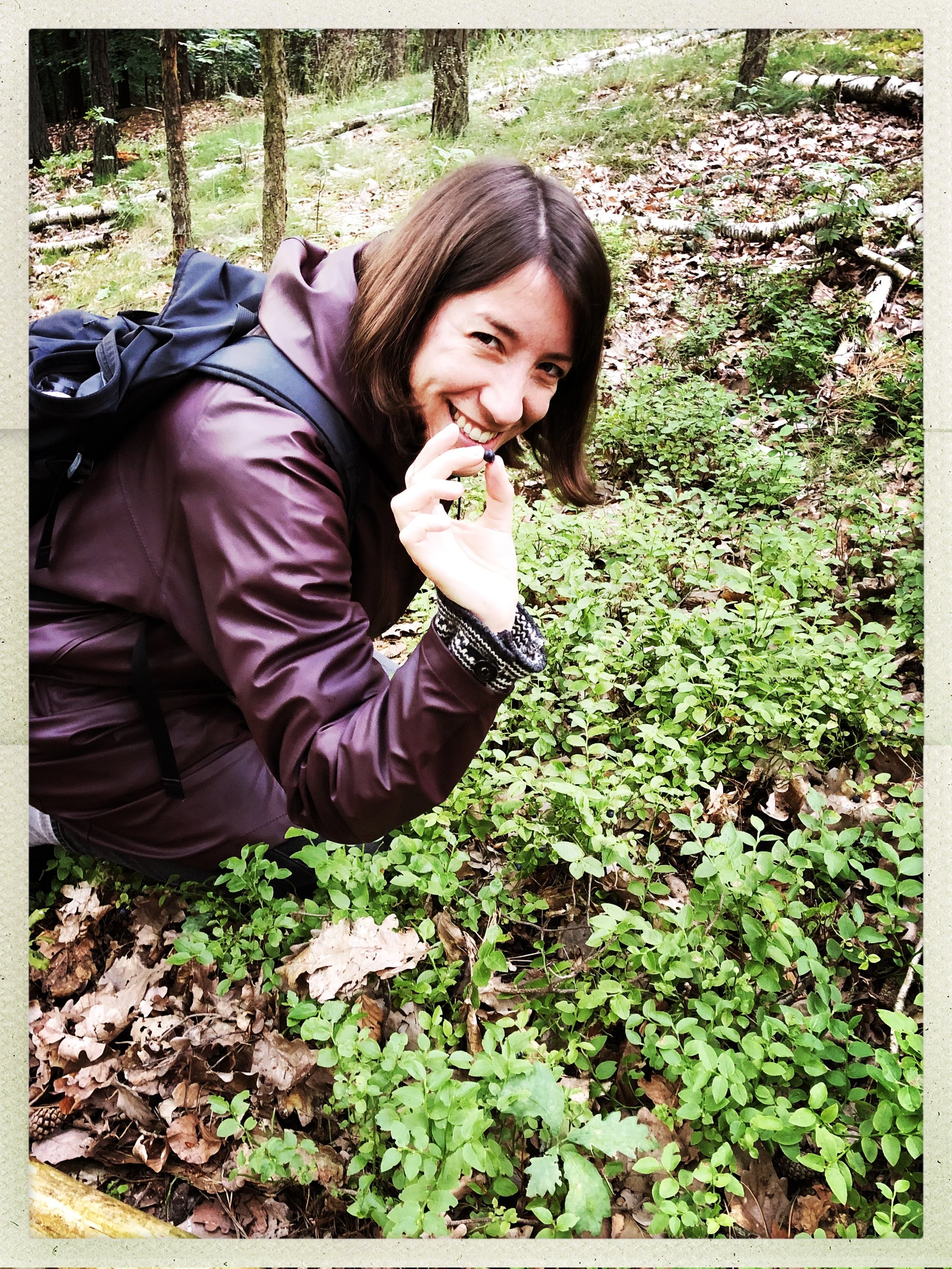 Coaching in Natur Berlin_Blaubeere.jpg