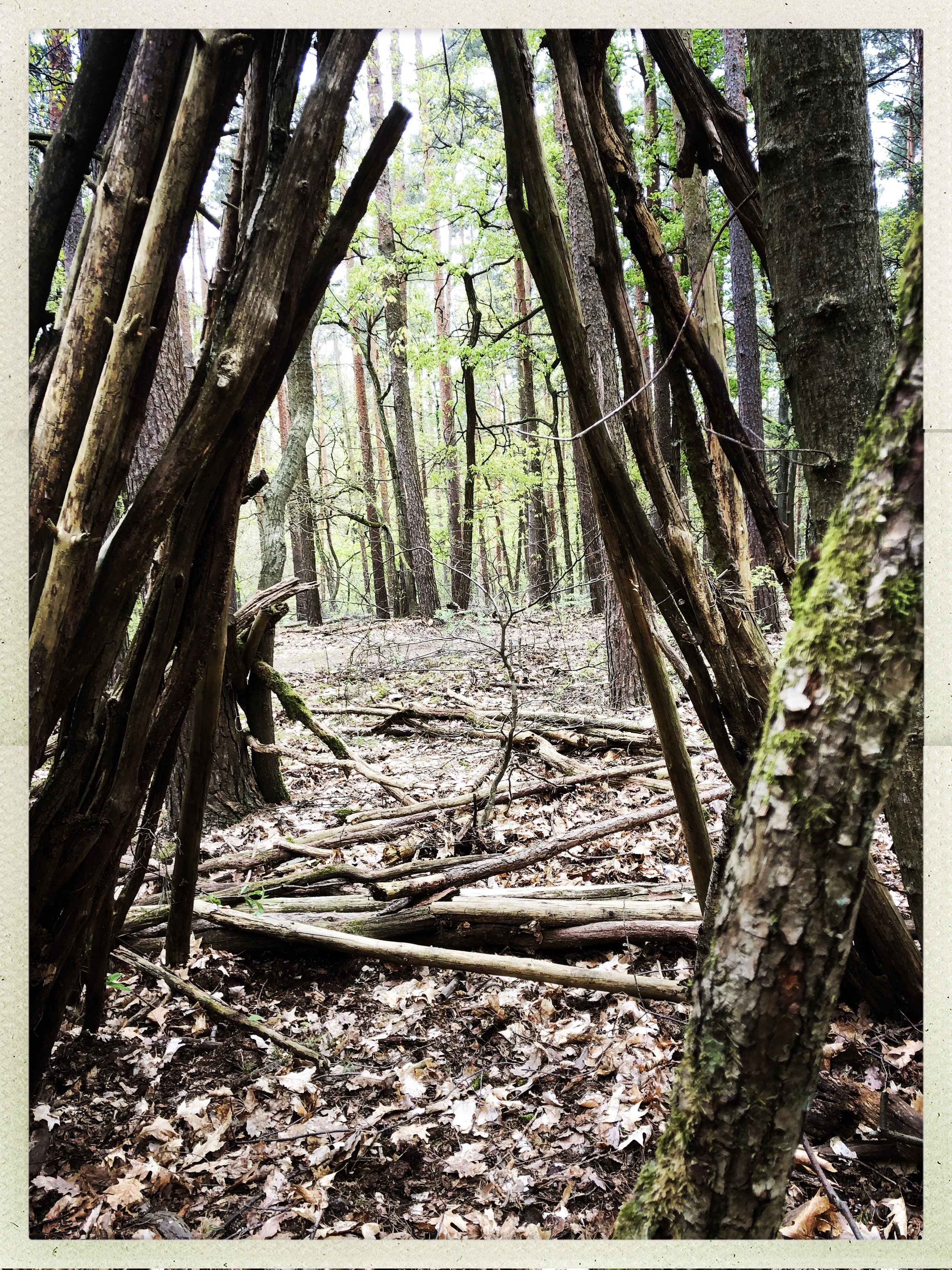 Natur Coaching Berlin_Schwelle.jpg