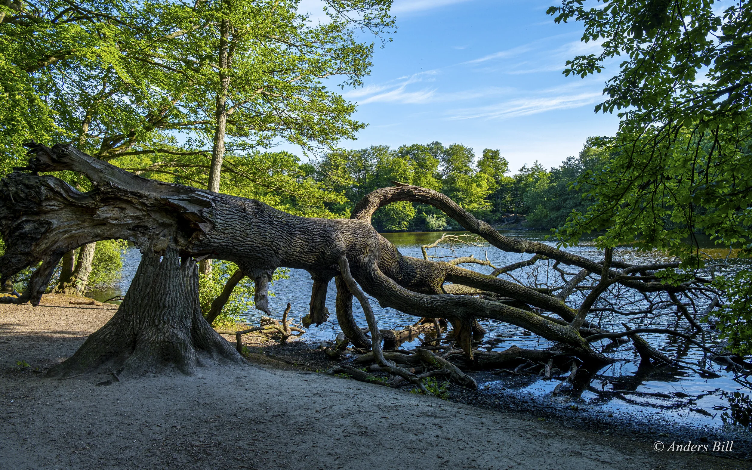 DSCF0894-2.jpg