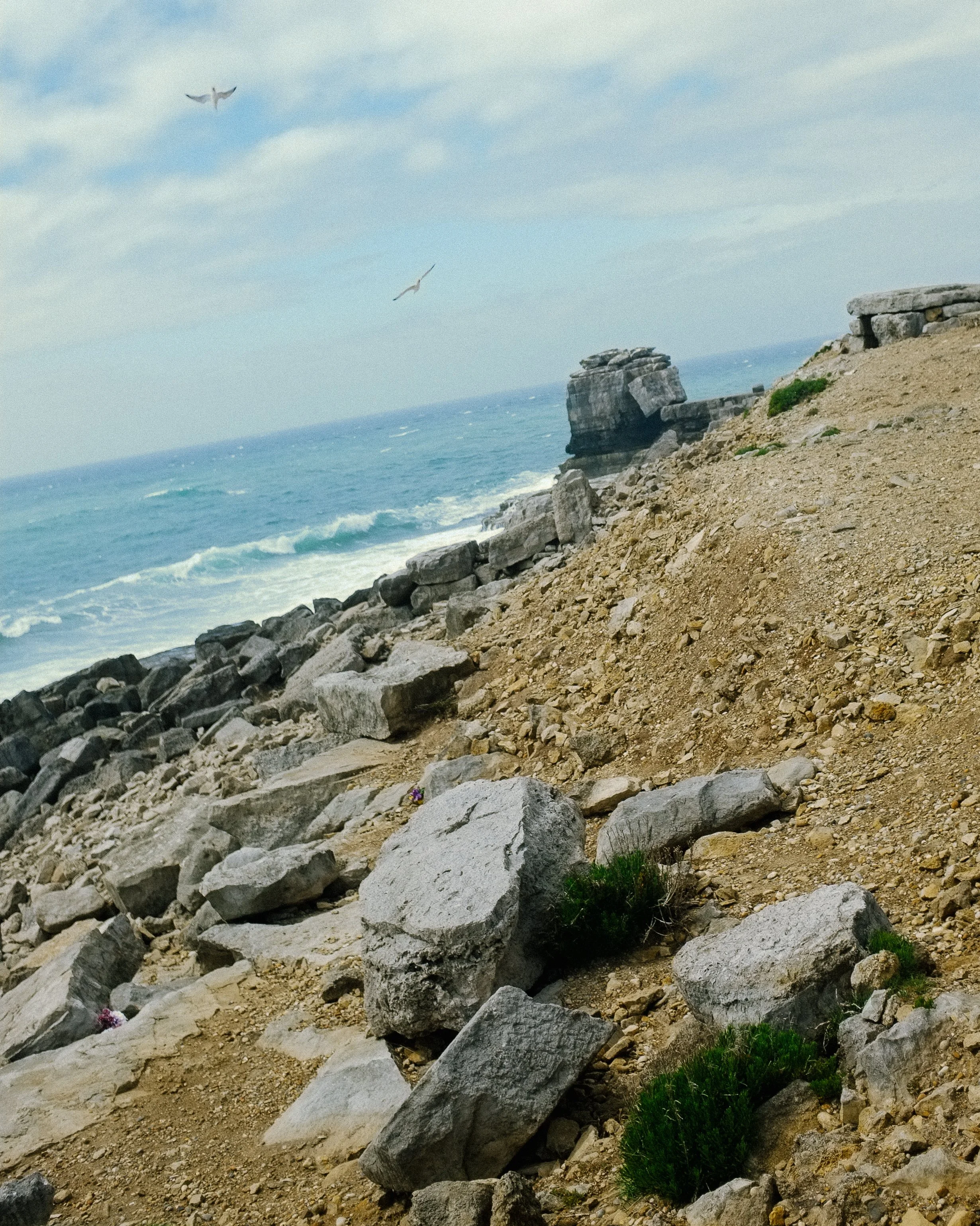 DSCF3652.jpg