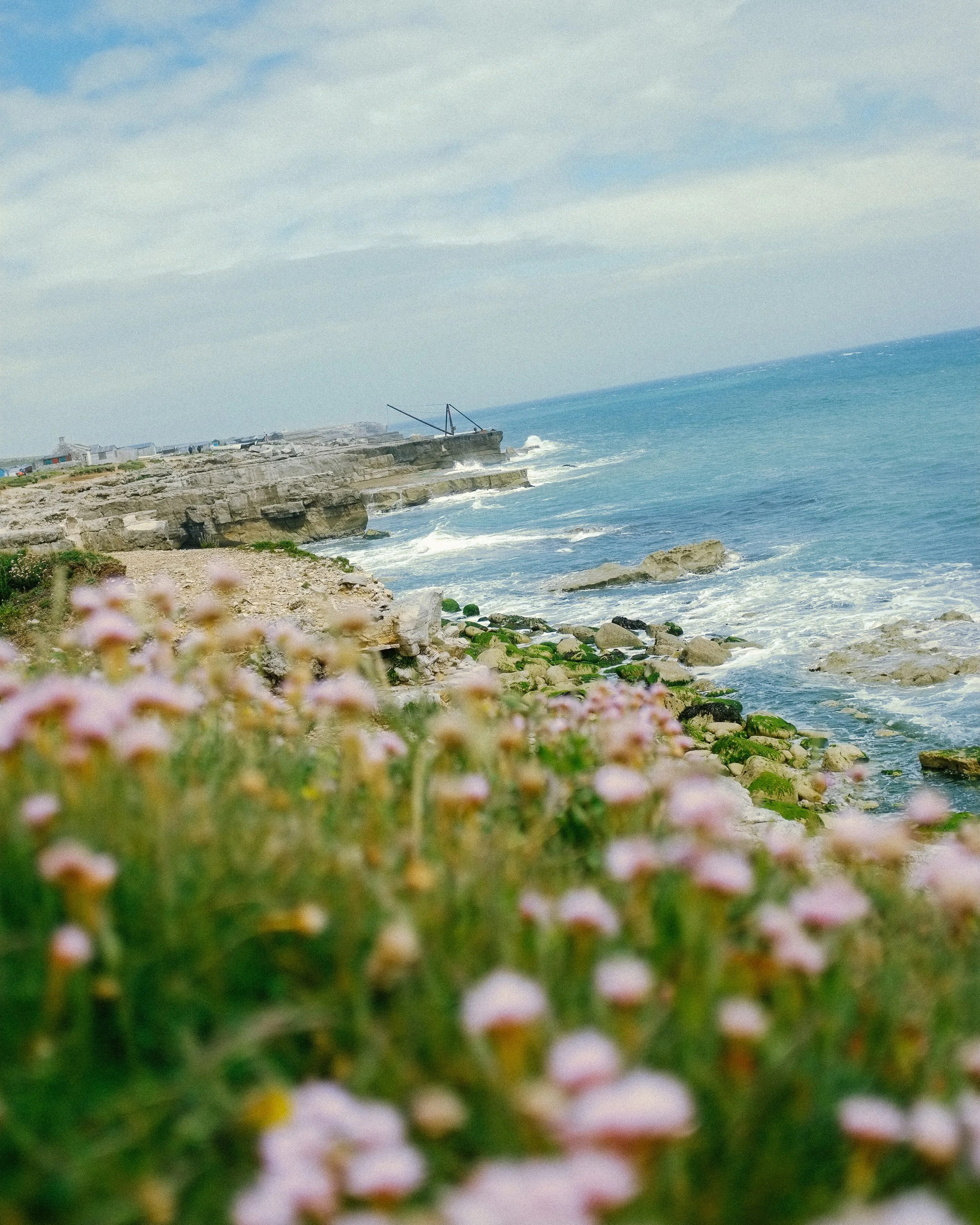 DSCF3645.jpg