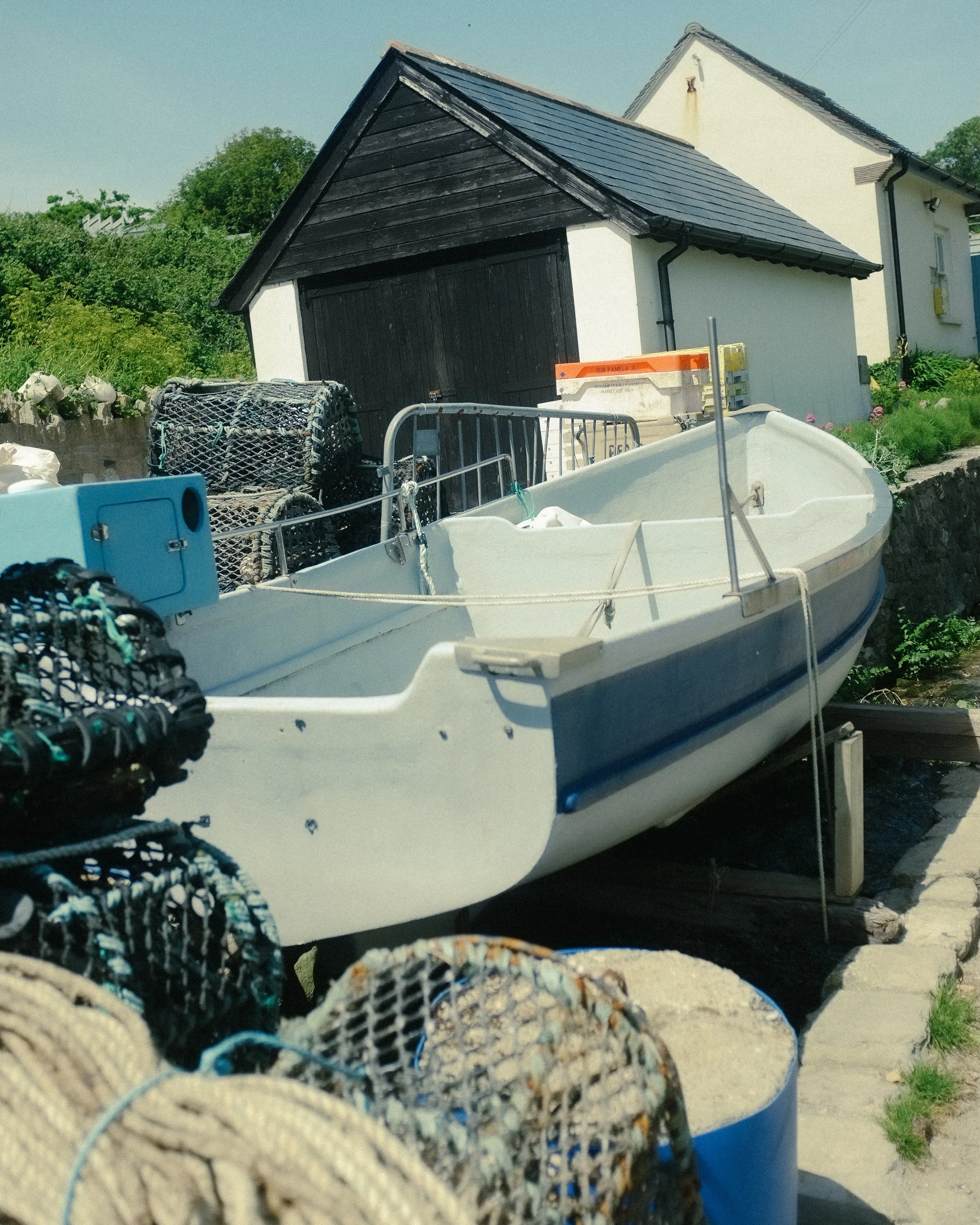 DSCF3774.jpg