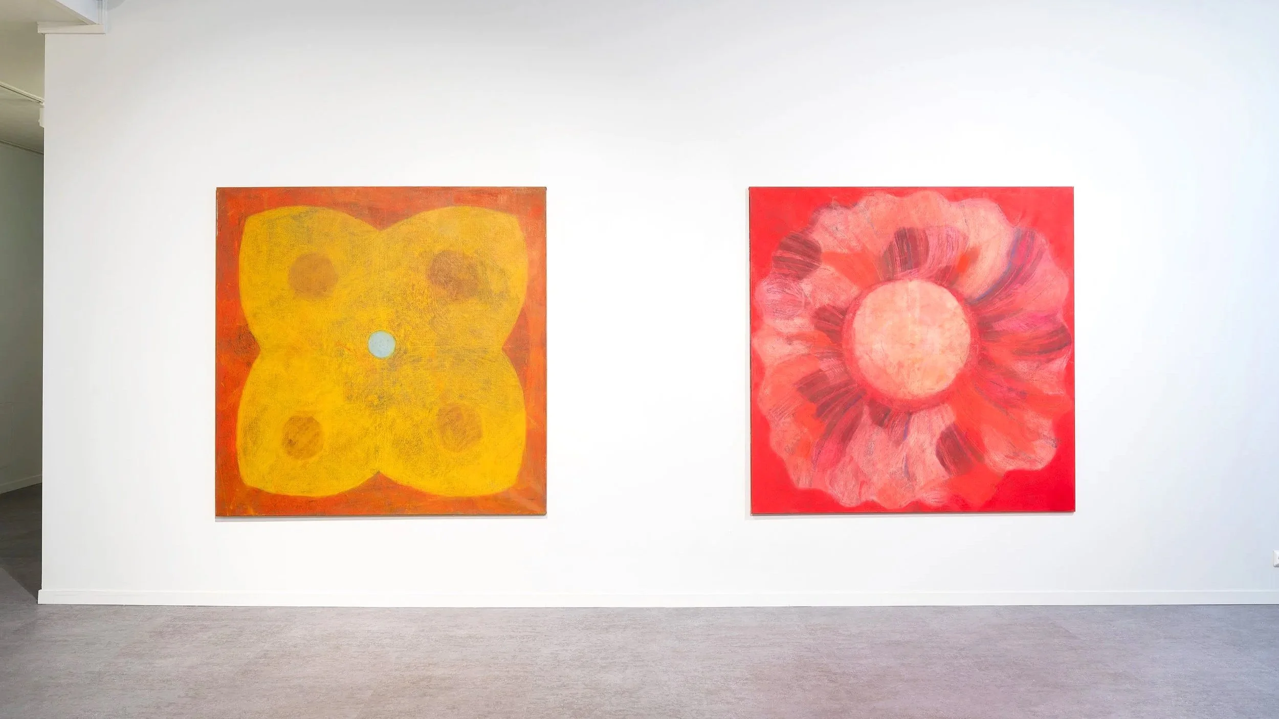 SOLNEDGANG / SKOGSLYS