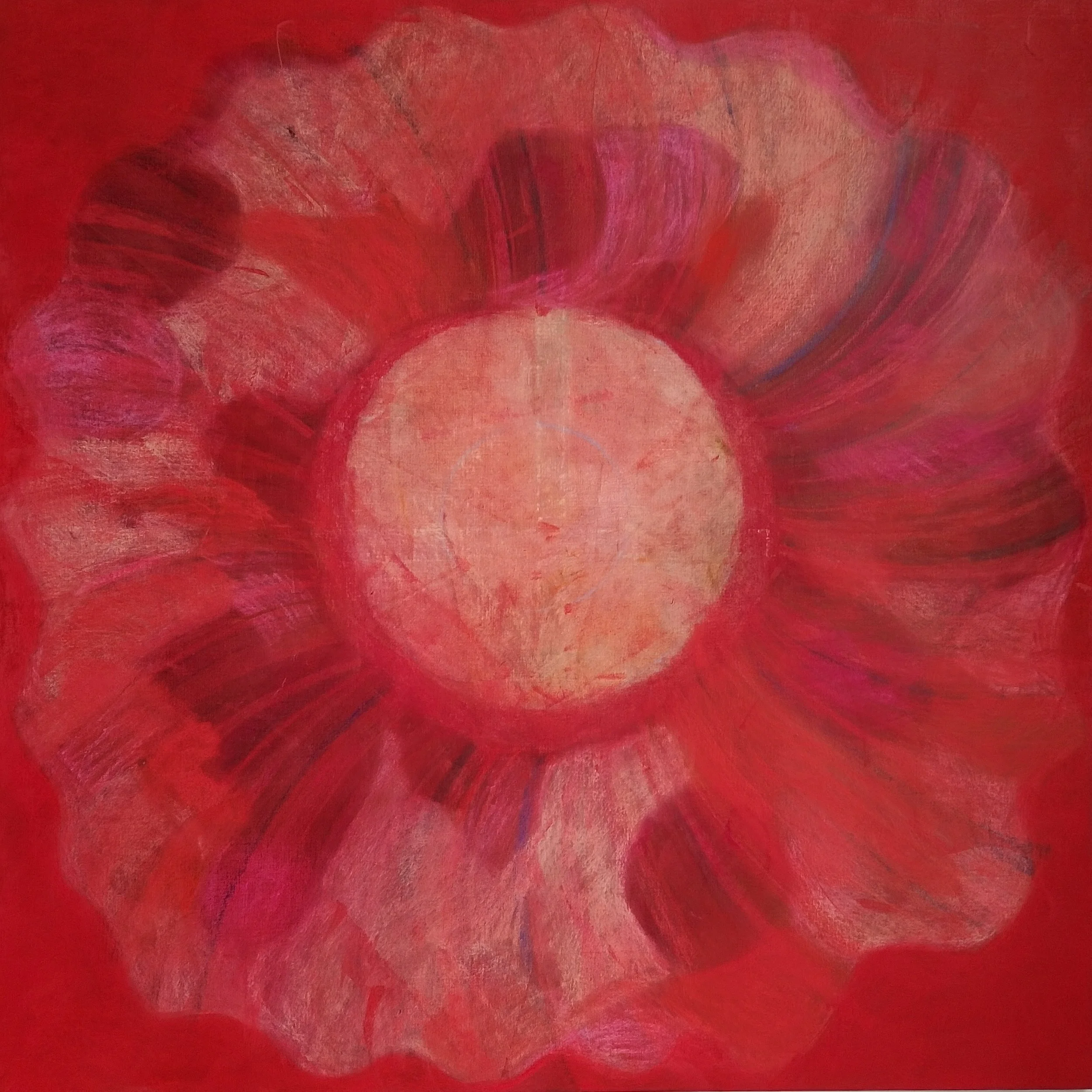 UTSTILLINGER/EXHIBITIONS