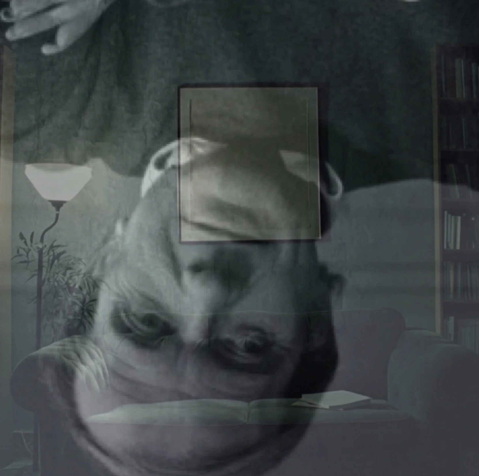 Deleuze and Analysis