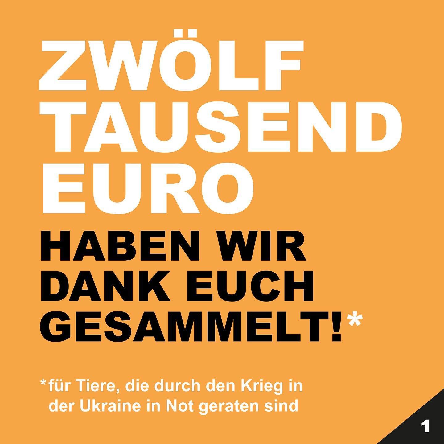 Unsere Kampagne war ein voller Erfolg - Dank euch! Zusammen mit @ddaotierschutz und @doggo_donate haben wir durch den Verkauf unserer Soli-Shirts 12.000 &euro; gesammelt. 

Transparenz is key, deswegen hier die Info f&uuml;r euch, was jetzt mit dem G