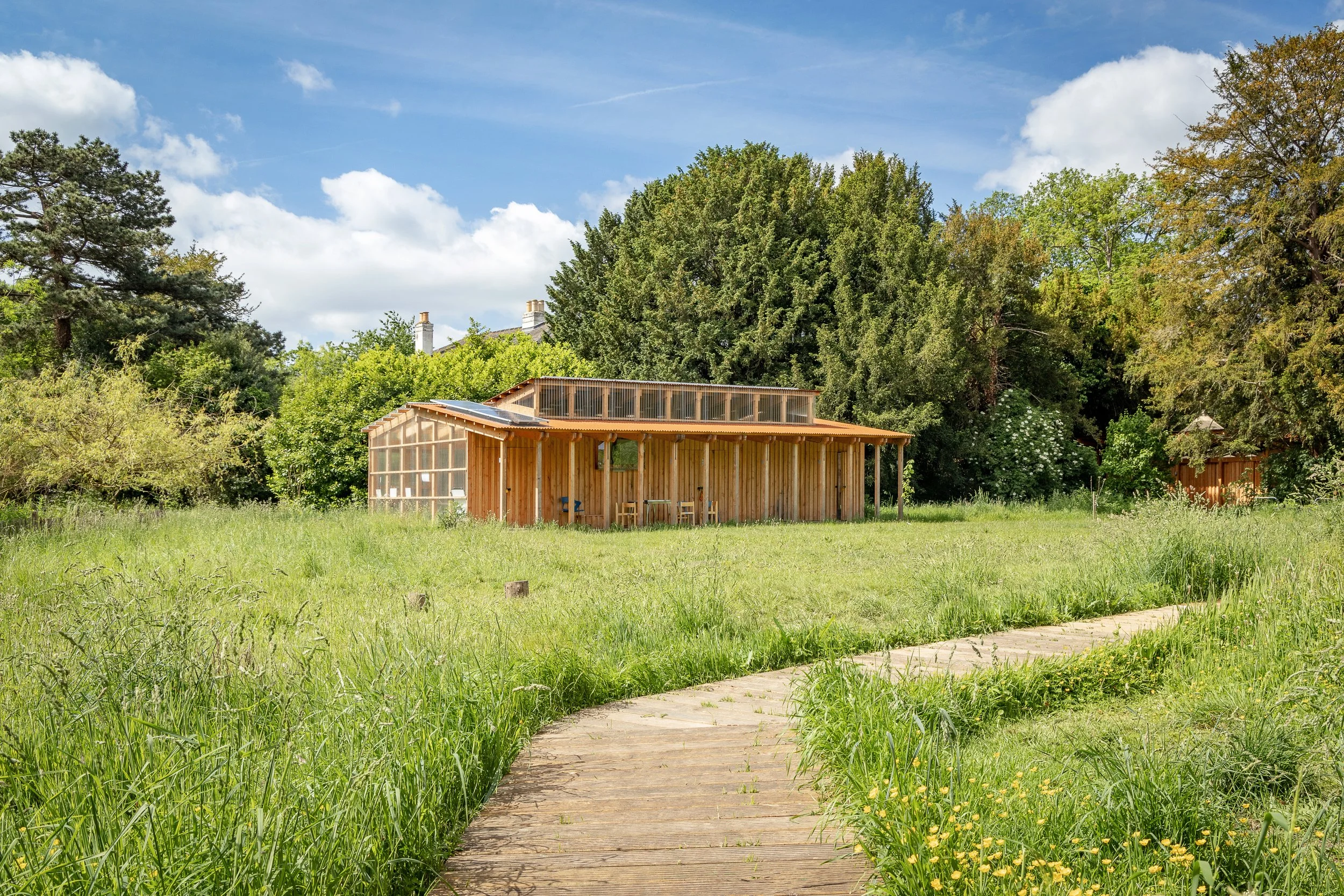 Wimshurst Pelleriti — 2022 05 27 Morden Hall Woodland School - 55 lowres.jpg