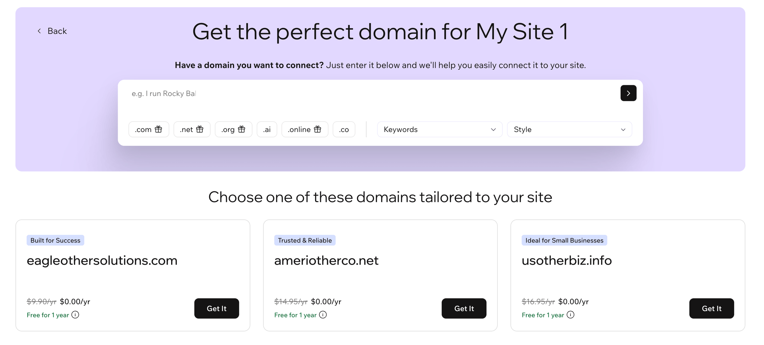 Wix domain panel