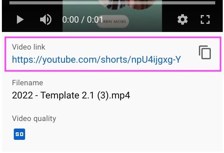 How to embed course videos in Squarespace from YouTube (free!) — Big ...
