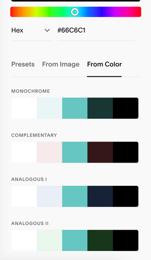 How to add a Custom Color Palette to your Squarespace Website — Big Cat ...