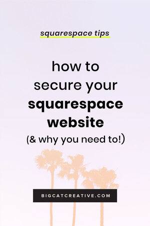 How & Why You Need to Secure Your Squarespace Website — Big Cat ...