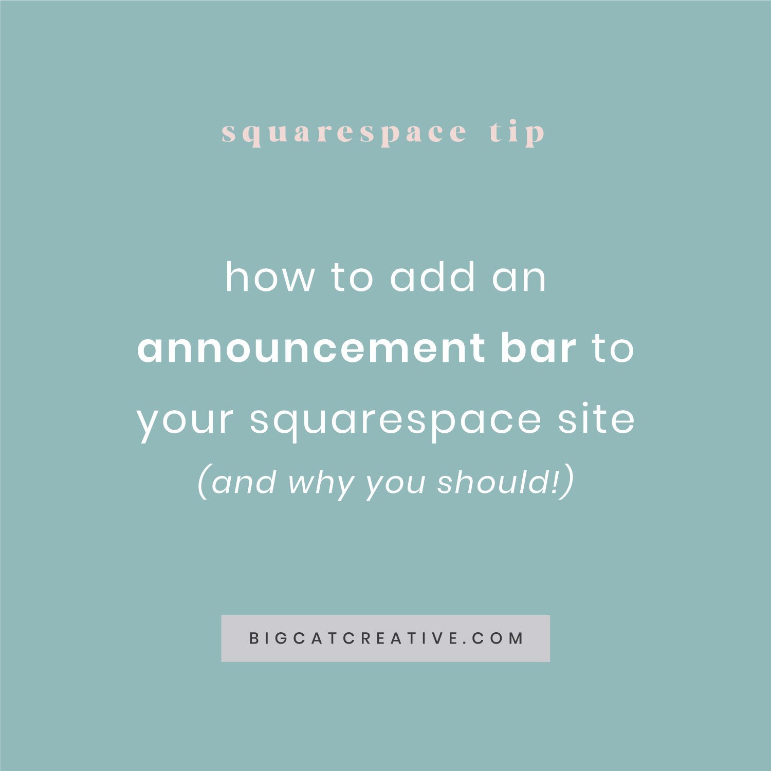 How to add an announcement bar to your Squarespace website (& why you should)