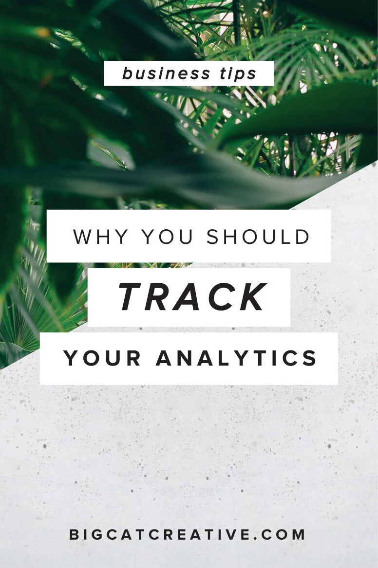 Why You Need To Track Your Analytics To Grow Your Business Big Cat