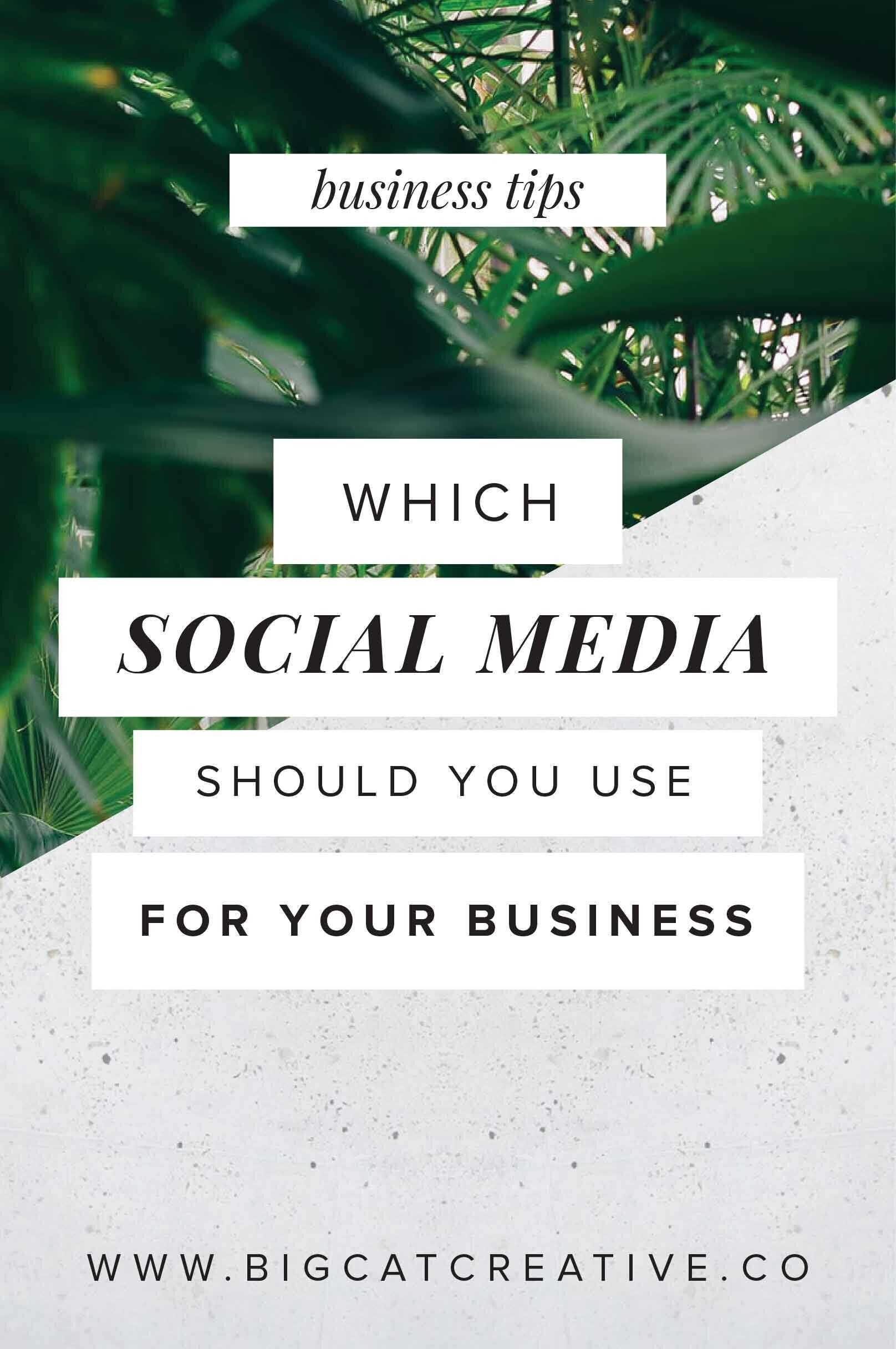 Which Social Media Platforms Should You Use for Your Business? — Big ...