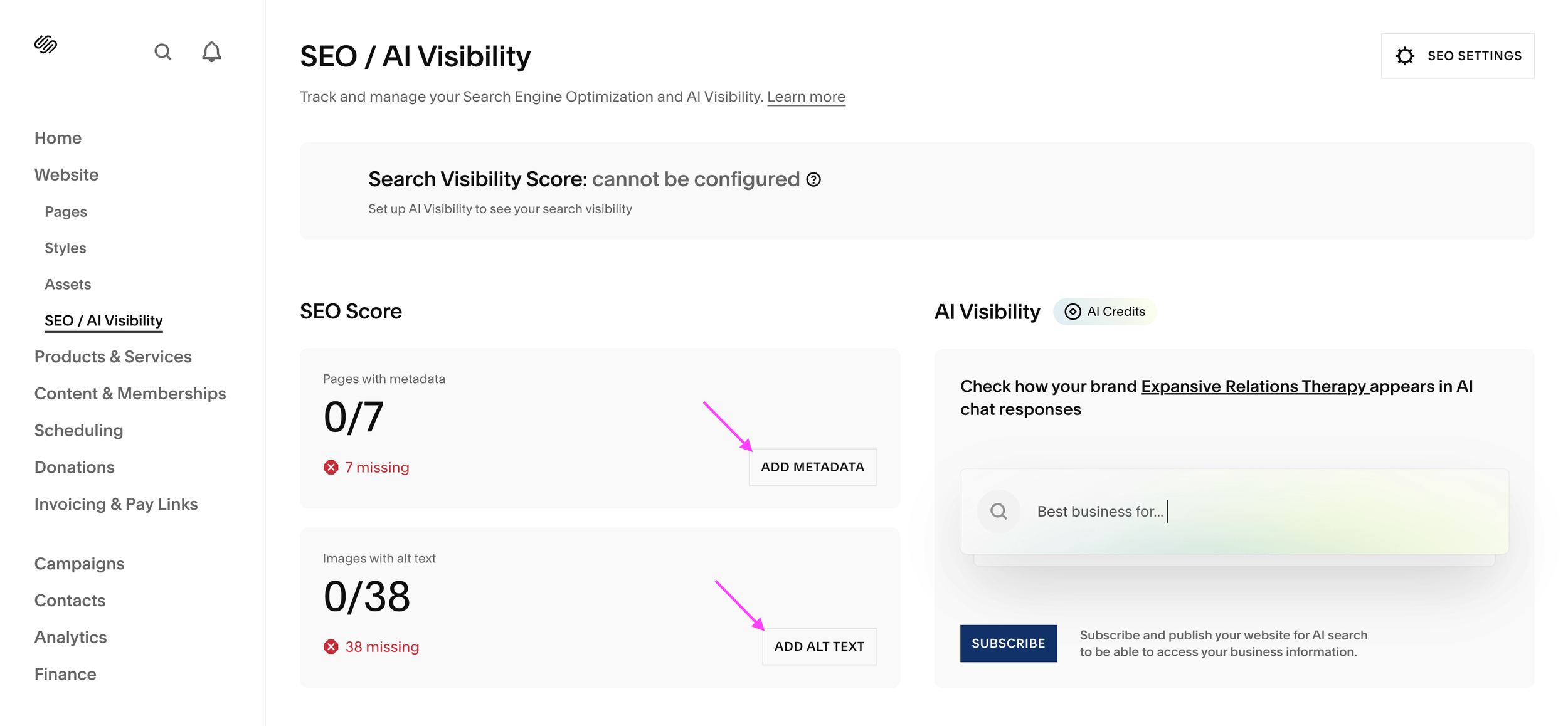 Squarespace SEO/AI Visibility panel