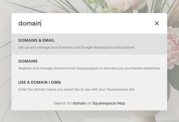 Searching for settings in Squarespace