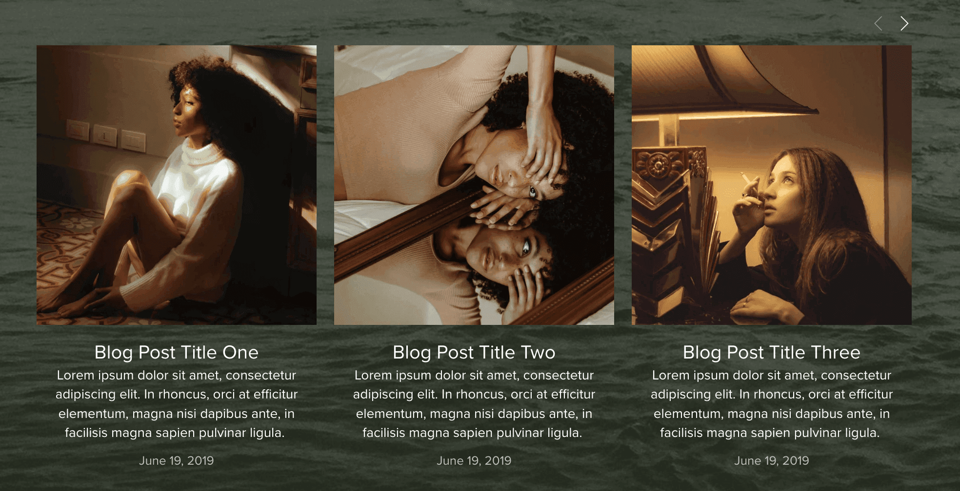 Example of a Summary Block from our Noire Squarespace Template