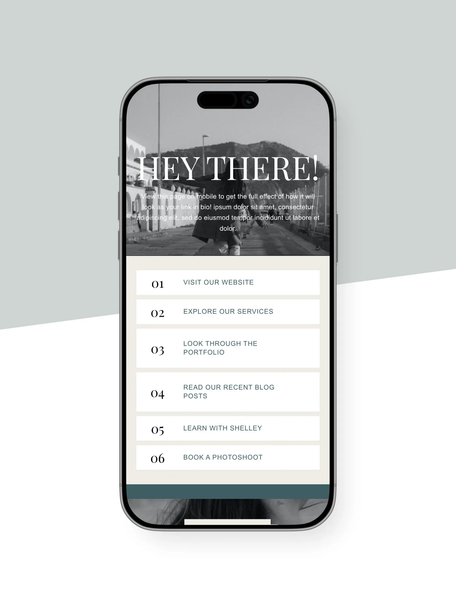 Shelley Instagram Links Page Template