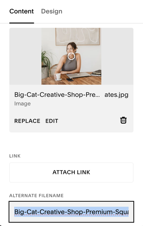 How to Optimize Your Blog with Squarespace for SEO Right Now! — Big Cat ...