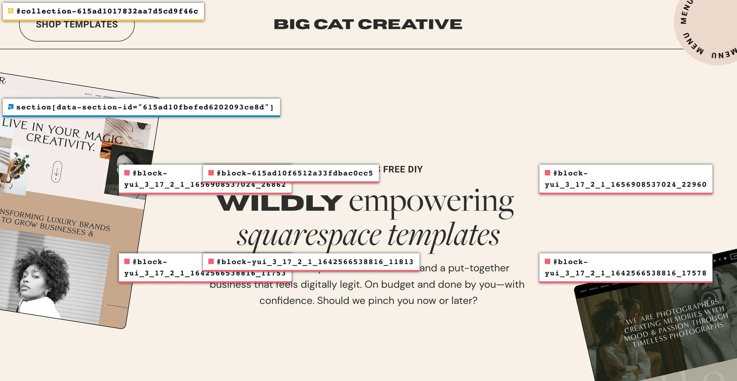 The Five Best Chrome Extensions for Squarespace Web Designers — Big Cat  Creative - Squarespace Templates & Resources