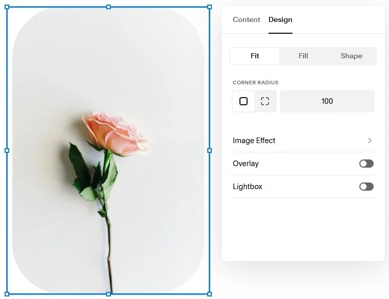 How to Create Rounded Corners and Unique Shapes for Your Images in ...