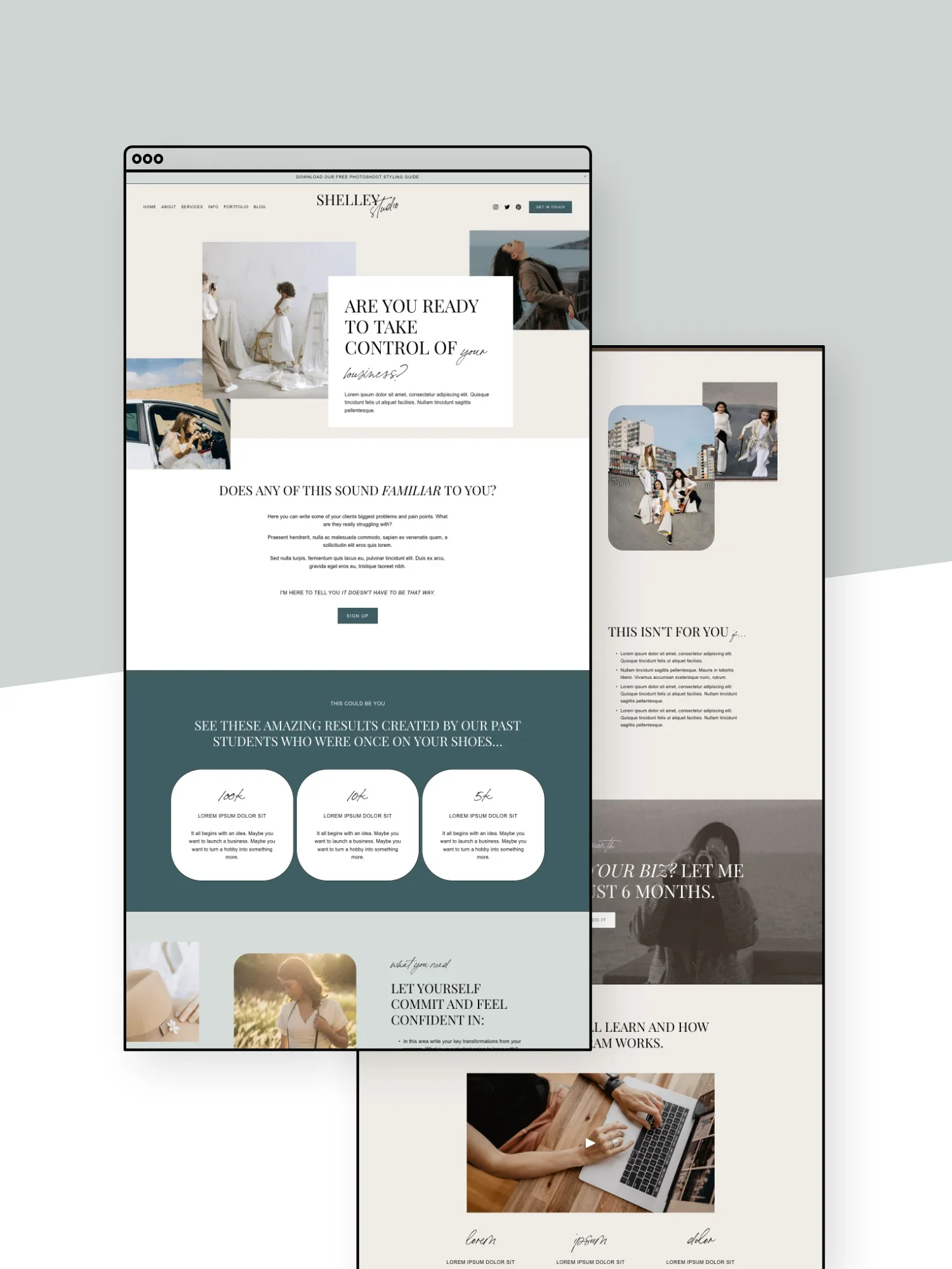 Shelley Sales Page Template