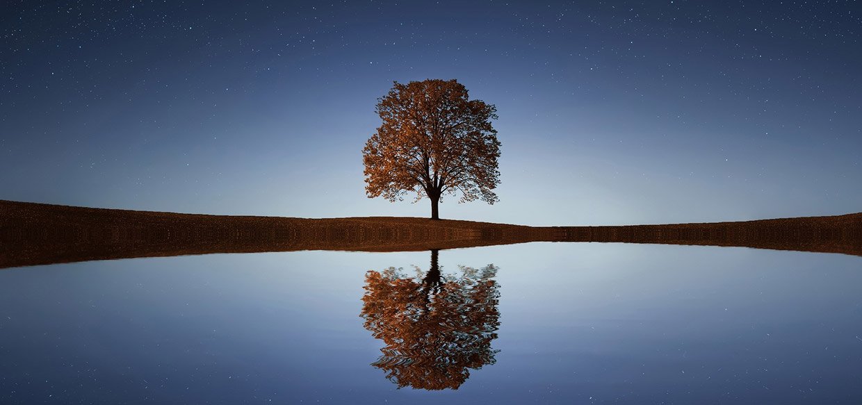 2022… The year of CLARITY