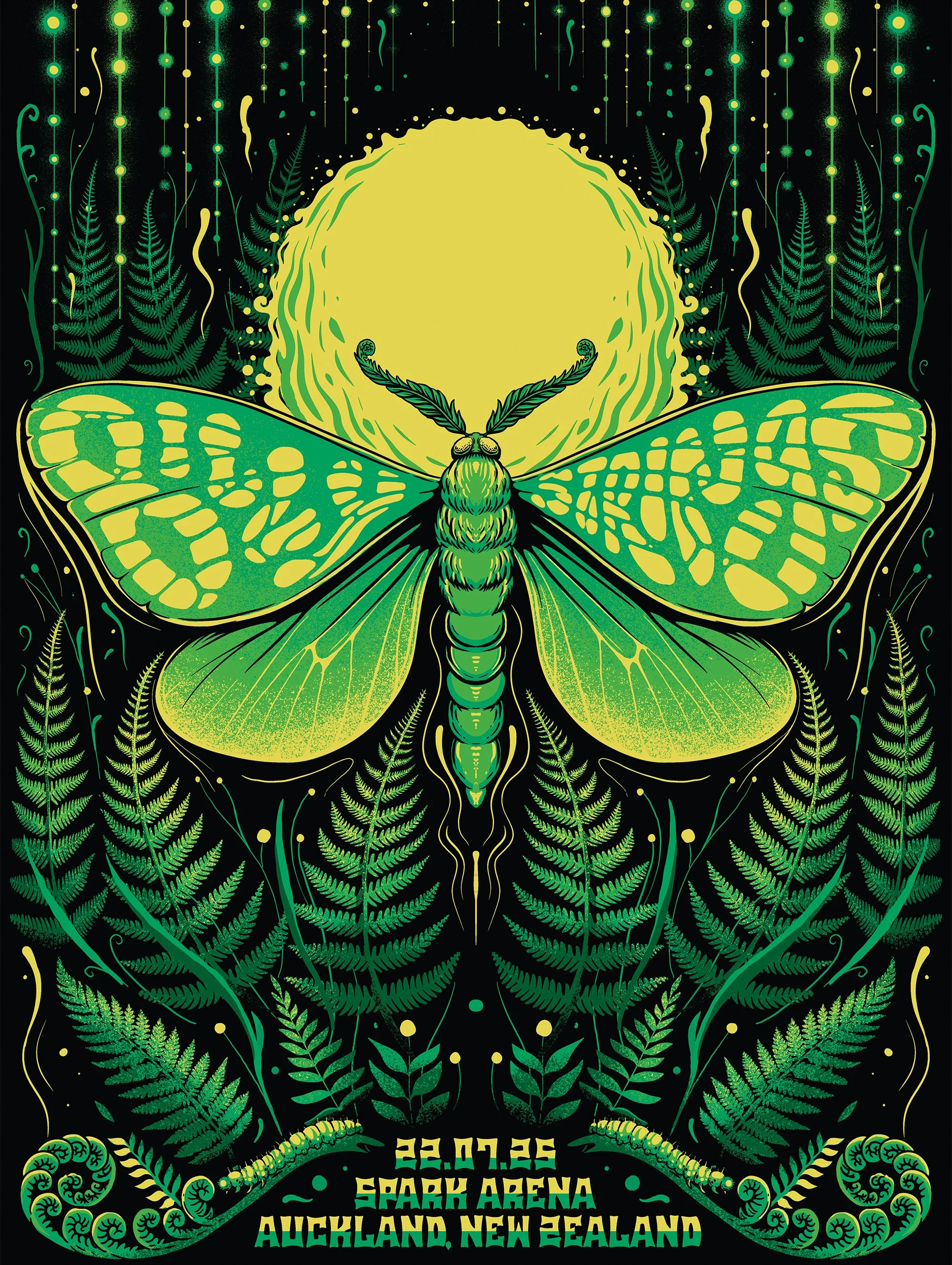 BILLY STRINGS - AUCKLAND