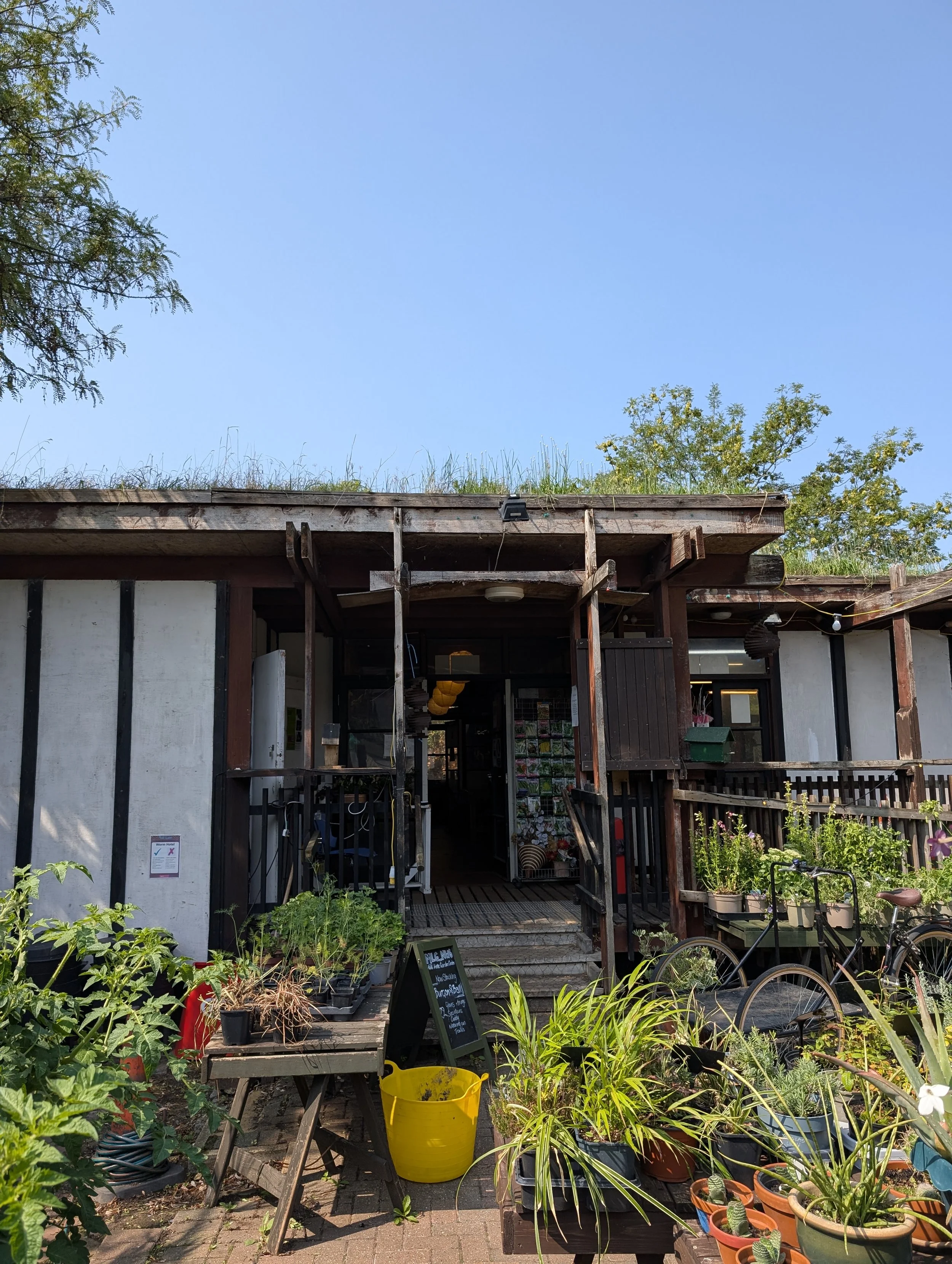Preserving a Community Landmark: The Mill Lane Garden Centre Condition Appraisal