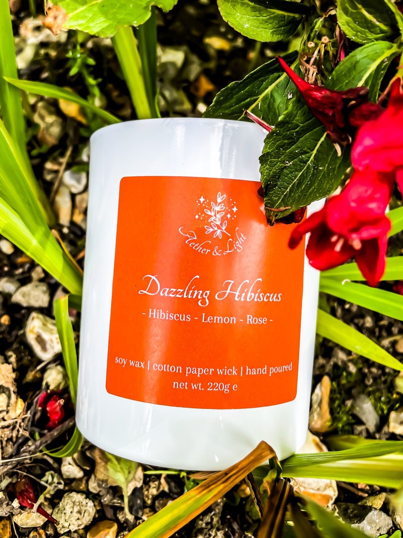 Dazzling+Hibiscus+photo.jpg