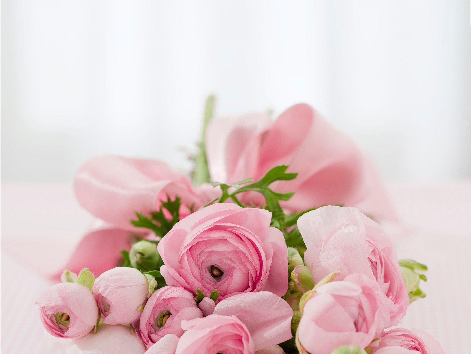 bouquet-g77258086e_1920.jpg