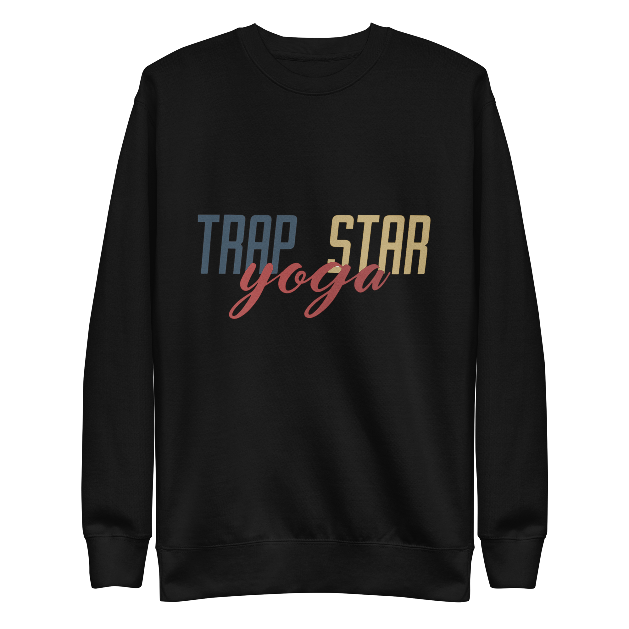 unisex-premium-sweatshirt-black-front-6938464fcbaed.png