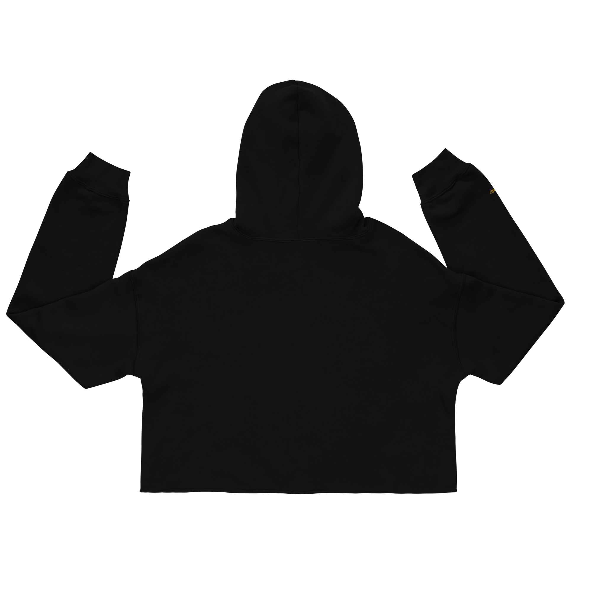 womens-cropped-hoodie-black-back-693846a572ba9.png