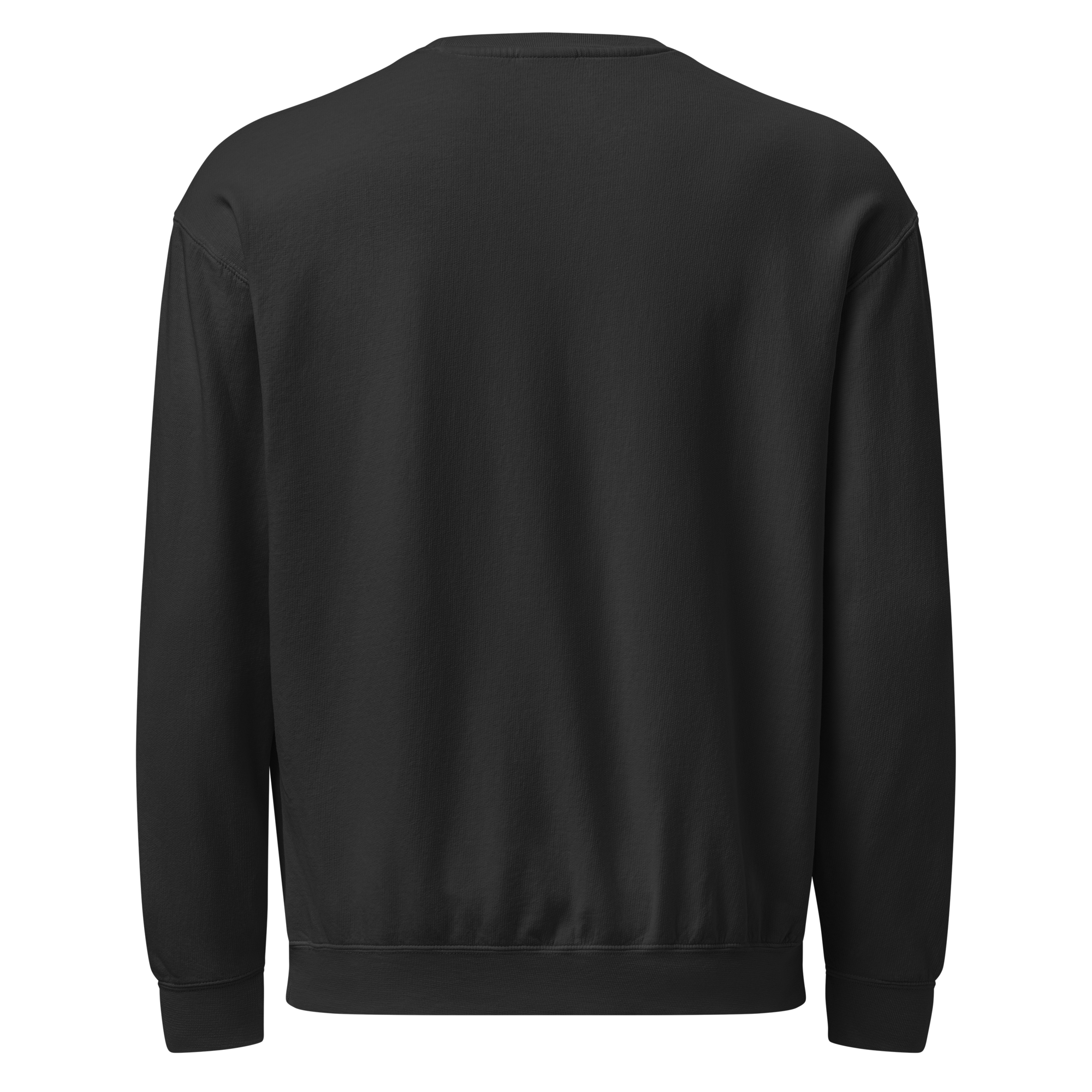rment-dyed-lightweight-fleece-crewneck-sweatshirt-i-comfort-colors-1466-black-back-693846de24ce1.png