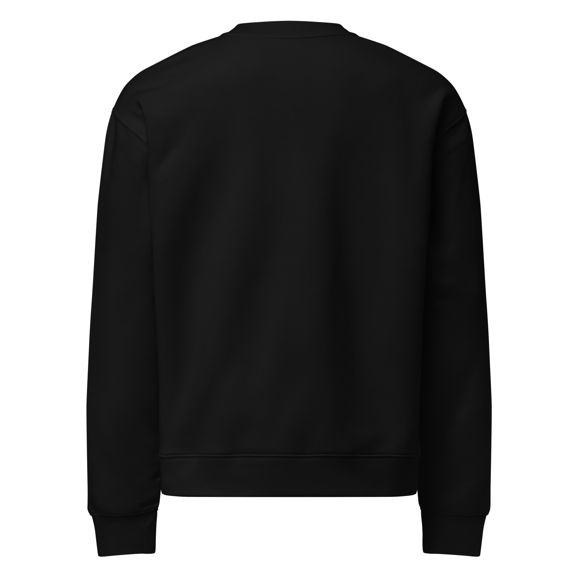 unisex-relax-crew-neck-sweatshirt-black-back-693948496d014.png