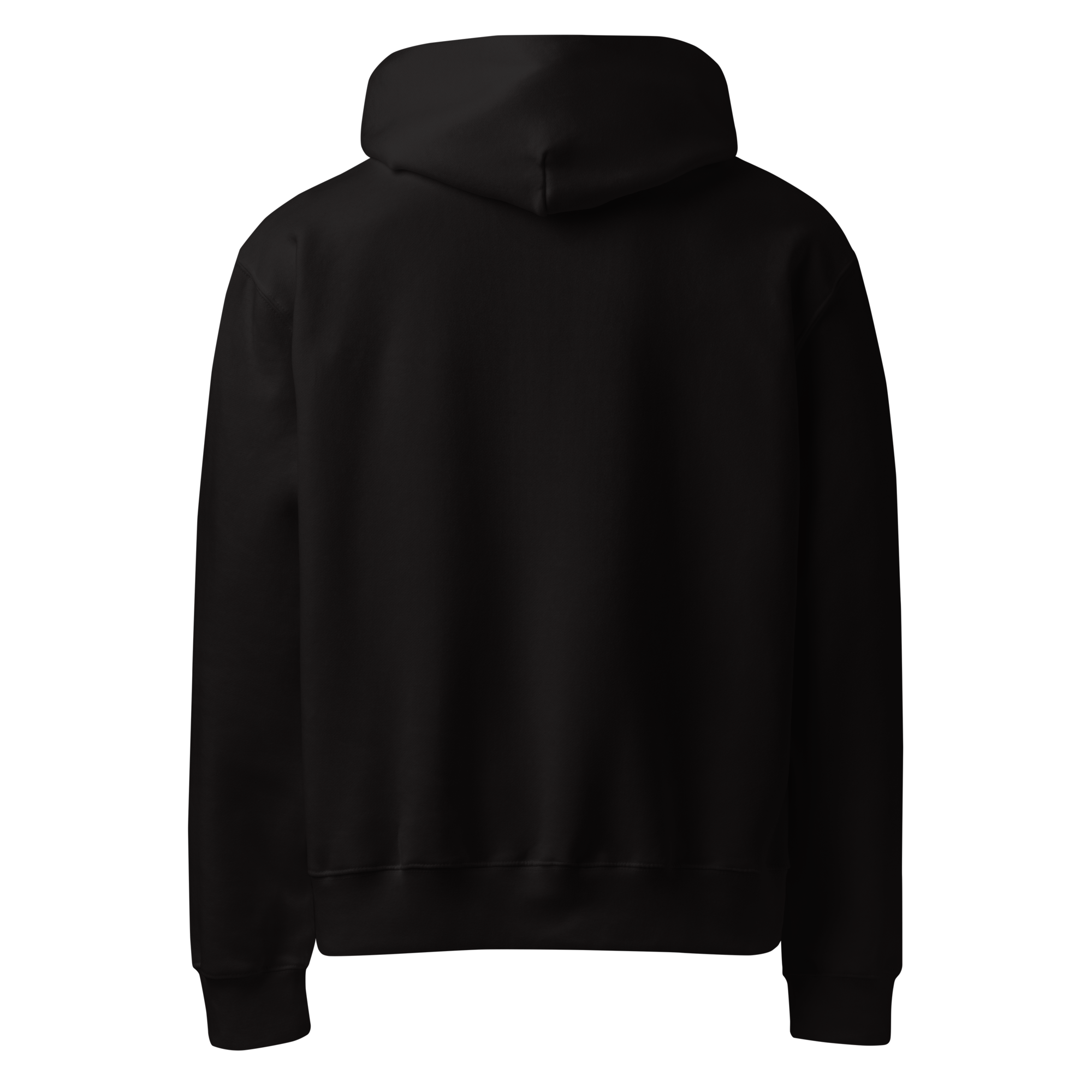 unisex-oversized-heavyweight-hoodie-black-back-69399c619b4f9.png